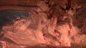 hot-cream-wrestling_7.jpg